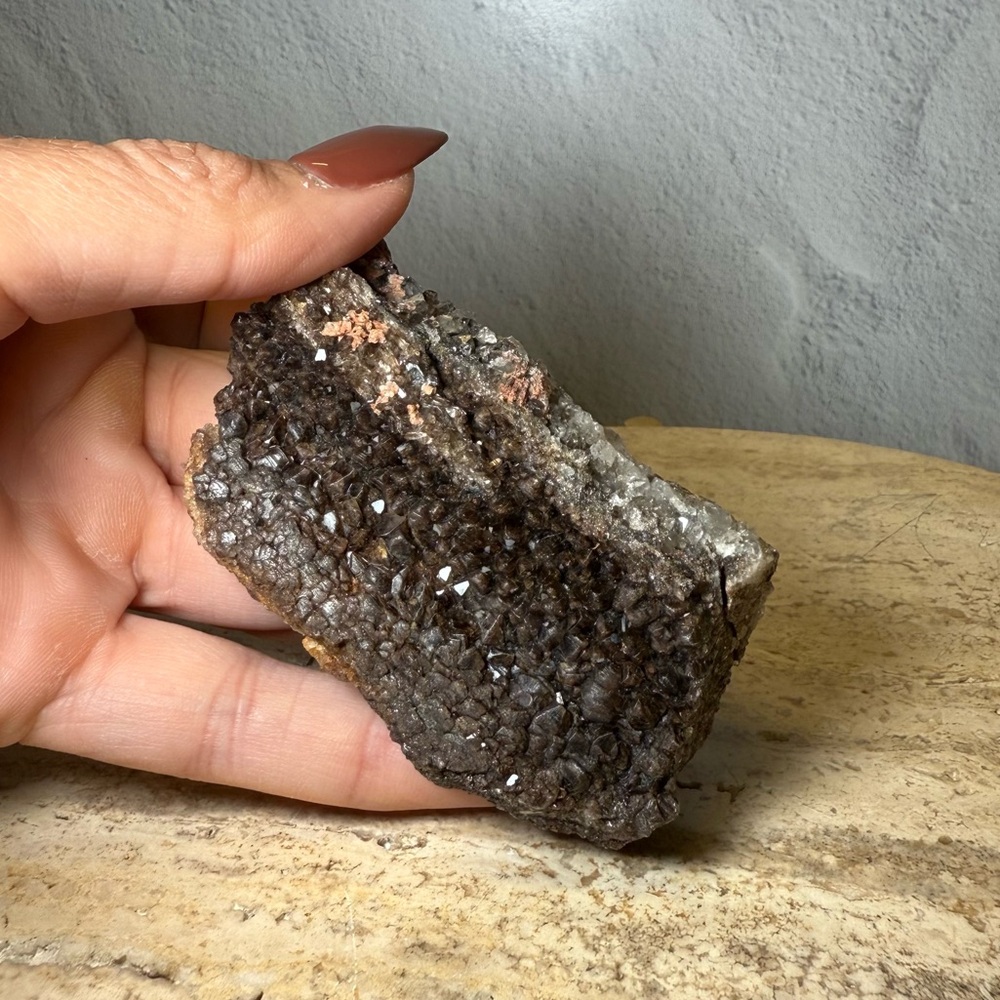 Petrified Wood With Smokey & Clear Quartz Druzy from Arizona